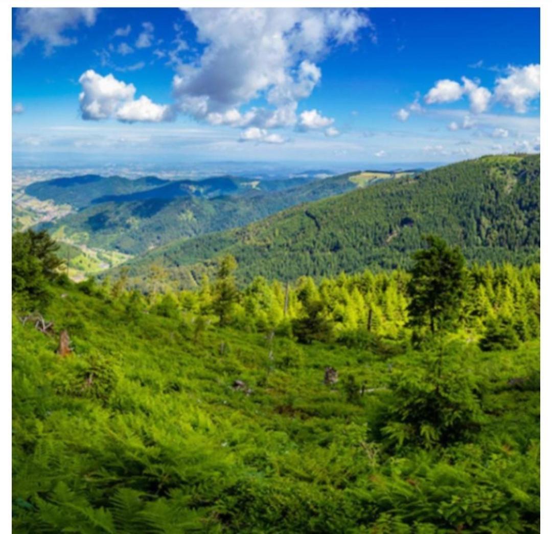 Naturblick バイアースブロン エクステリア 写真